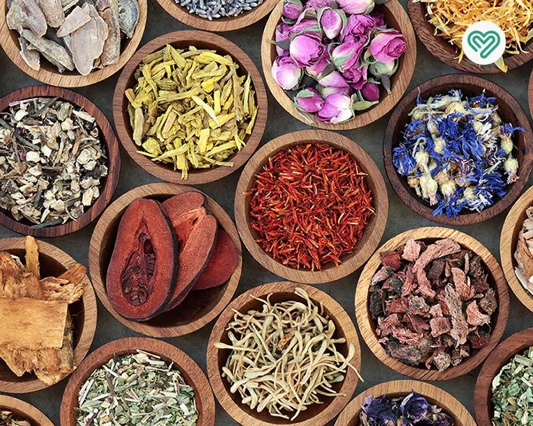 داروهای گیاهی